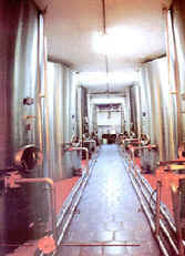 wpe4.jpg (7218 bytes)